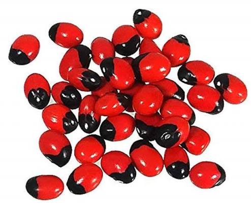 Red gunja (guri ginjalu)