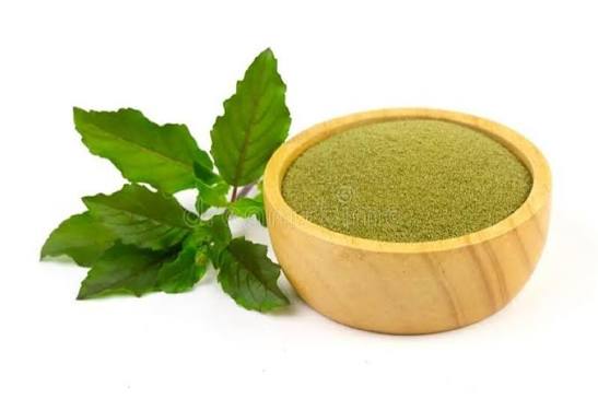 Tulsi powder
